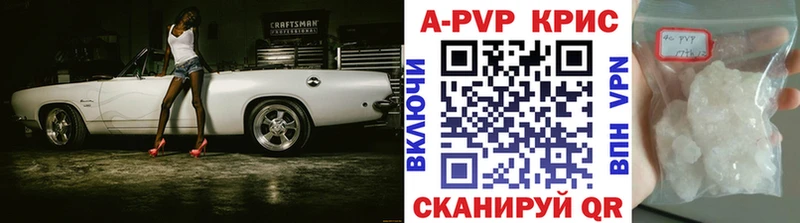 A-PVP СК КРИС  Хасавюрт 