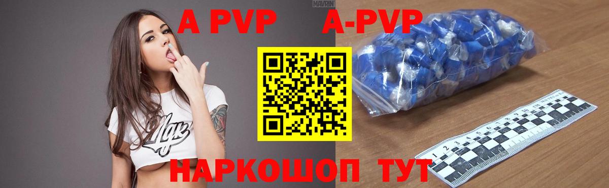 Alfa_PVP VHQ Хасавюрт