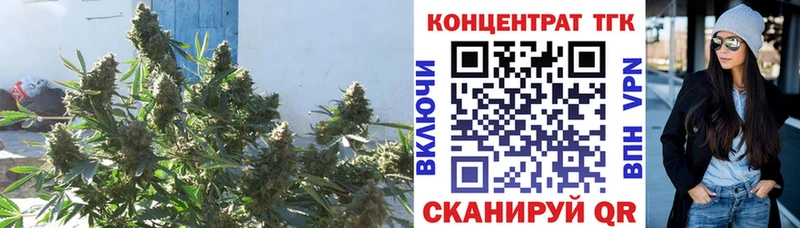 МЕГА как зайти  Хасавюрт  ТГК вейп 