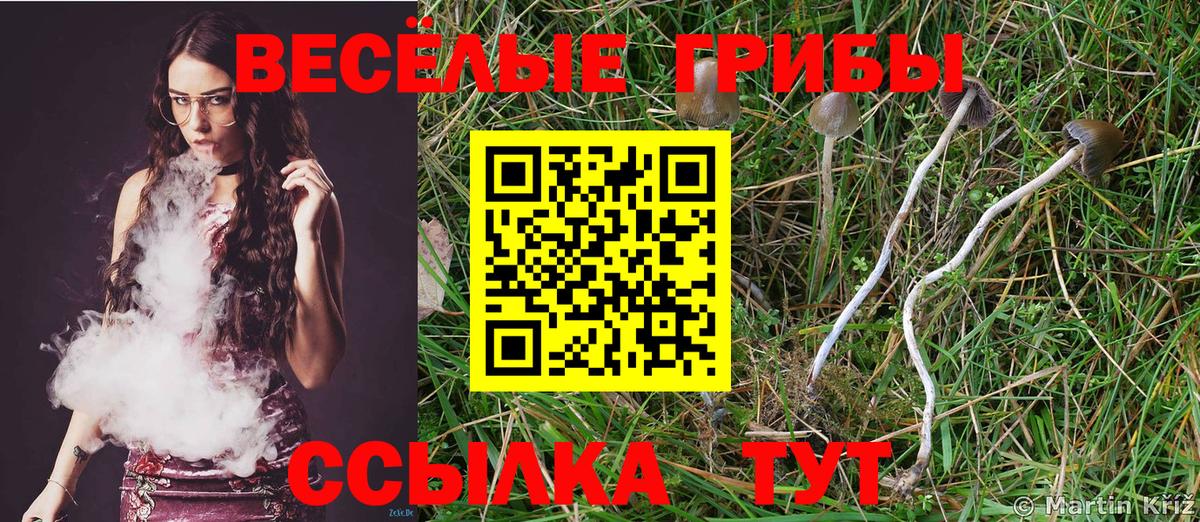 Псилоцибиновые грибы MAGIC MUSHROOMS Хасавюрт