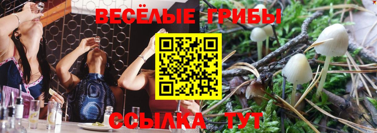 Галлюциногенные грибы ЛСД  Вход с VPN  Хасавюрт  Псилоцибиновые грибы Psilocybe 